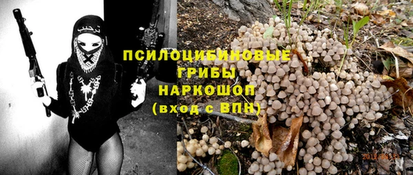 твердый Елизово