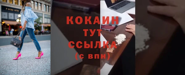 твердый Елизово