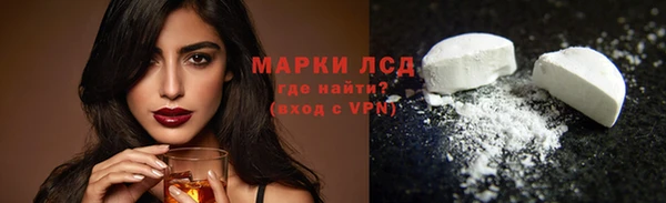 ГАЛЛЮЦИНОГЕННЫЕ ГРИБЫ Ельня