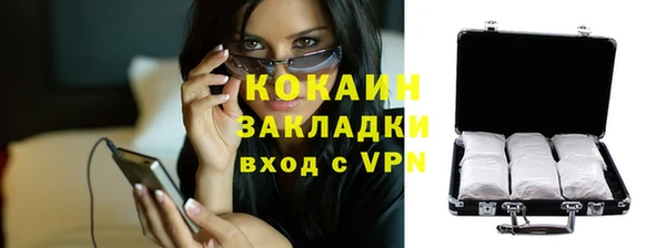 ГАЛЛЮЦИНОГЕННЫЕ ГРИБЫ Ельня