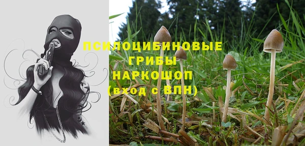 твердый Елизово
