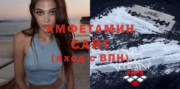 ГАЛЛЮЦИНОГЕННЫЕ ГРИБЫ Ельня