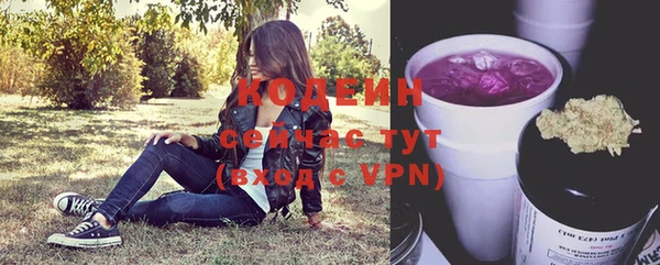 дурь Елабуга