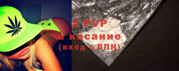 ГАЛЛЮЦИНОГЕННЫЕ ГРИБЫ Ельня