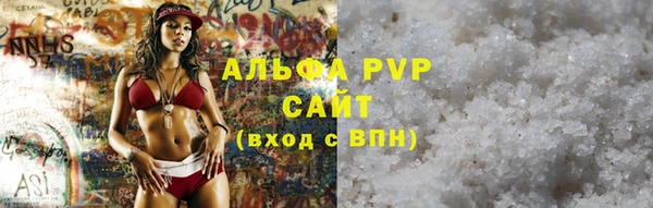 ГАЛЛЮЦИНОГЕННЫЕ ГРИБЫ Ельня