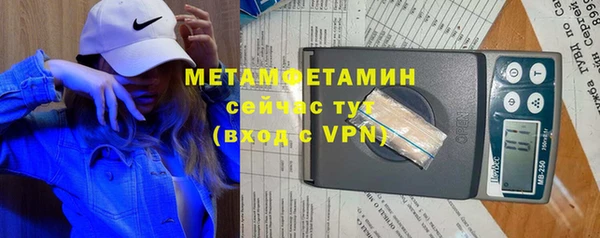 ГАЛЛЮЦИНОГЕННЫЕ ГРИБЫ Ельня