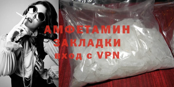 ГАЛЛЮЦИНОГЕННЫЕ ГРИБЫ Ельня
