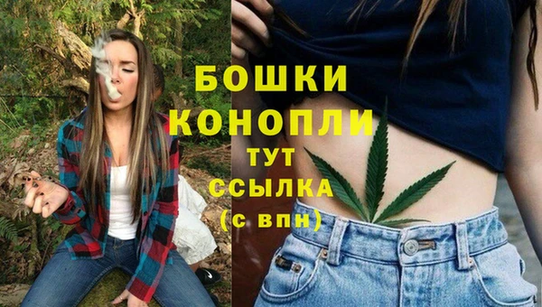 дурь Елабуга