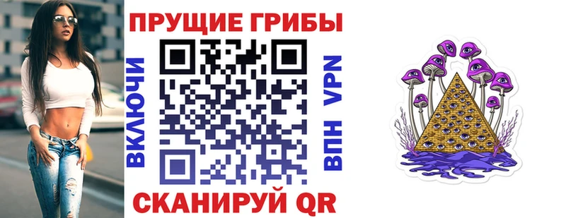 даркнет сайт  Тамбов  Галлюциногенные грибы Psilocybine cubensis 